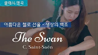 C. Saint-Saëns : The Swan 아름다운 첼로 선율 - 생상의 백조