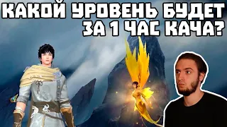 КАКОЙ УРОВЕНЬ МОЖНО АПНУТЬ ЗА 1 ЧАС КАЧА НА РУОФФЕ? ПРОКАЧКА ВАРА PERFECT WORLD