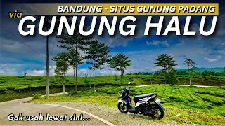 Jalur Viral Bandung Situs Gunung Padang via Gunung Halu