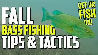 Fall Bass Fishing Tips and Tactics - Beginner Fishing Tips