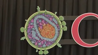 Doctors describe possible second HIV cure