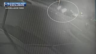 Exclusive surveillance video captures moments before police officer shot to death outside home