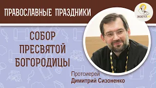 Собор Пресвятой Богородицы. Протоиерей Димитрий Сизоненко. Церковный календарь 8 января. Праздник