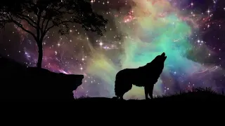 Spiritual Tony - Wolf Spirit (528 Hz)