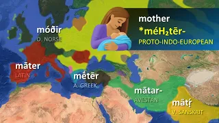 Indo-European Languages - Word Comparisons