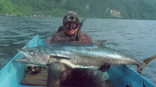 indonesia spearfishing travel - habitat of monster mackerels