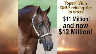 Topsail Whiz becomes the first NRHA 12 Million dollar sire