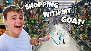 BUYING My PET GOAT Everything He TOUCHES!!