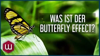 Der Butterfly Effect