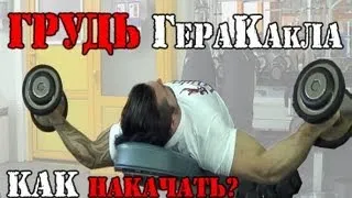 Как НАКАЧАТЬ ГРУДЬ ГераКАКла?