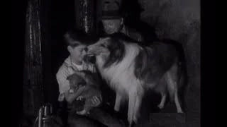 Lassie - Episode 27 - "The Runt" - (Season 2, #1 - 09/11/1955)