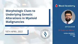 Dr Kamran Mirza: Morphologic clues to underlying genetic alterations in myeloid malignancies