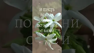 С добрым, весенним утром!