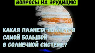 15 ВОПРОСОВ НА ЭРУДИЦИЮ. Проверь свои знания