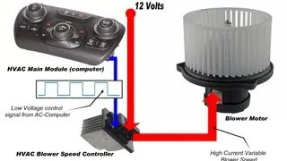HVAC Blower Motor & Circuit