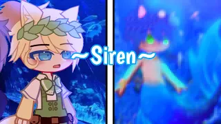 ~Siren~ /Mermaid Meme/STH AU/Merhog Sonic AU
