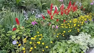 Що квітує влітку Красиве поєднання квітів Ідеї Ландшафтний дизайн перед будинком Зразок клумби 115
