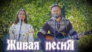 🌻Природная песня для Души🎸Союз Шадровых - ЖИВОЙ ПОРТРЕТ