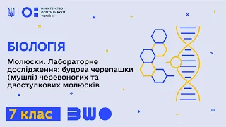 7 клас. Біологія. Молюски. Лабораторне дослідження: будова черепашки (мушлі) молюсків. Частина 1