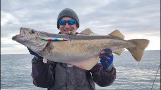 Slow pitch jigging in the UK onboard SILVER HALO, including some tips and techniques.