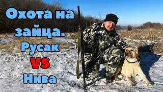 ОХОТА НА ЗАЙЦА. РУСАК VS НИВА!