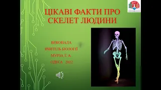 ЦІКАВІ ФАКТИ ПРО СКЕЛЕТ