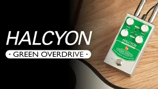 Halcyon Green Overdrive || All About The Pedal