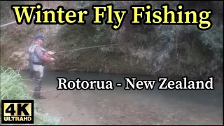 Winter Fly Fishing Rotorua , NZ in 4K