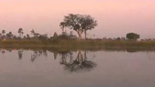 Okavango Delta - Botswana