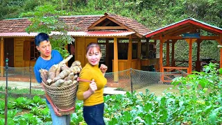 Harvest cassava. Store food in winter. Together, prepare starch cakes from cassava