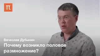 Размножение с точки зрения женского мозга — Вячеслав Дубынин