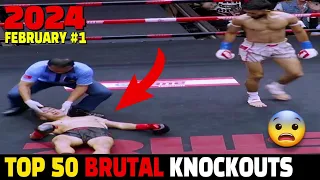 Top 50 Knockouts of February 2024 #1 (MMA•Muay Thai•Kickboxing•Boxing)