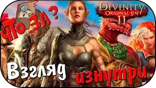 Что за Divinity: Original Sin 2 ? - Взгляд Изнутри