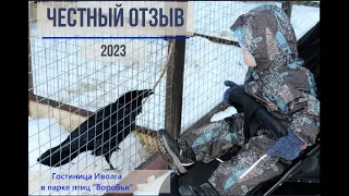 Парк птиц Воробьи 2023. Отзыв о гостинице Иволга.