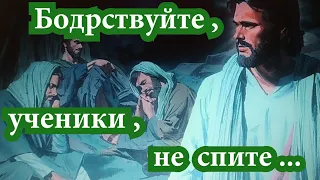 БОДРСТВУЙТЕ   НЕ СПИТЕ  Христианин должен быть постоянно на посту.