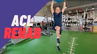 Dynamic Neuromuscular Exercise Progressions in ACL Rehab | Anterior Cruciate Ligament