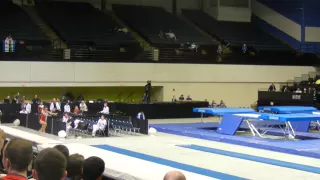 2014 Worlds Tumbling Rachel Pinto POR 2nd pass Finals Women