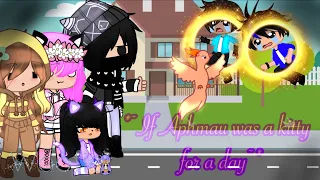 ~*If Aphmau turned into a kitty for a day*~ II Suggested Video II