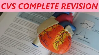 CARDIOVASCULAR SYSTEM COMPLETE REVISION | CVS PHYSIO REVISION UNDER 1 HOUR | CVS EXAM SUMMARY 👨‍🎓🔥🔥