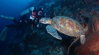 The Underwater World of LEKUAN 2 - Bunaken  Marine Park