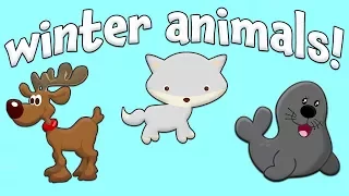 Winter Animals!  Learn about animals for Kids