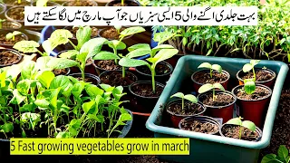 5 Fast Growing Vegetables seeds at home | You Can Harvest In One Month |Grow in March