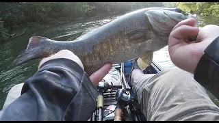 Fishing for summer river Smallmouth! How to fish small rivers or creeks!