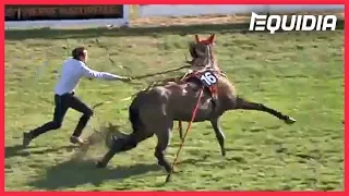 IL STOPPE UN CHEVAL EN PLEIN GALOP ! | Zap Equidia