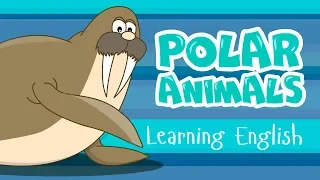 POLAR ANIMALS for KIDS || Learn English - Учим английский для детей - Полярные животные