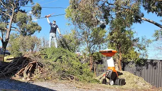 STIHL GHE 355 chipper - shreds by a thousand of cuts