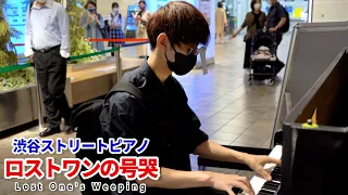 【ストリートピアノ】「ロストワンの号哭」を弾いてみた byよみぃ Japanese Street Piano Performance."Lost One's Weeping"