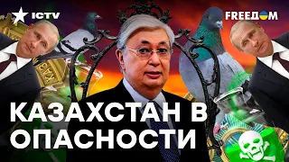 БИОЛАБОРАТОРИИ находят в КАЗАХСТАНЕ! Путин подогревает почву для НАПАДЕНИЯ: РЕАКЦИЯ Токаева УДИВИЛА