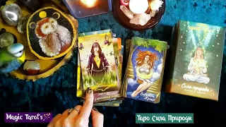 Таро посиденьки🪄Таро Сила Природи від Orner #tarot #magic #magictea #2024 #dragon