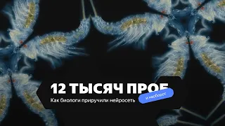 12 тысяч проб (2022)